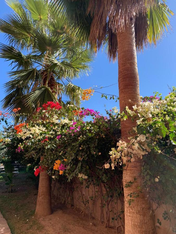 Les Terrasses Du Lac Marrakech Lalla Takerkoust Eksteriør billede