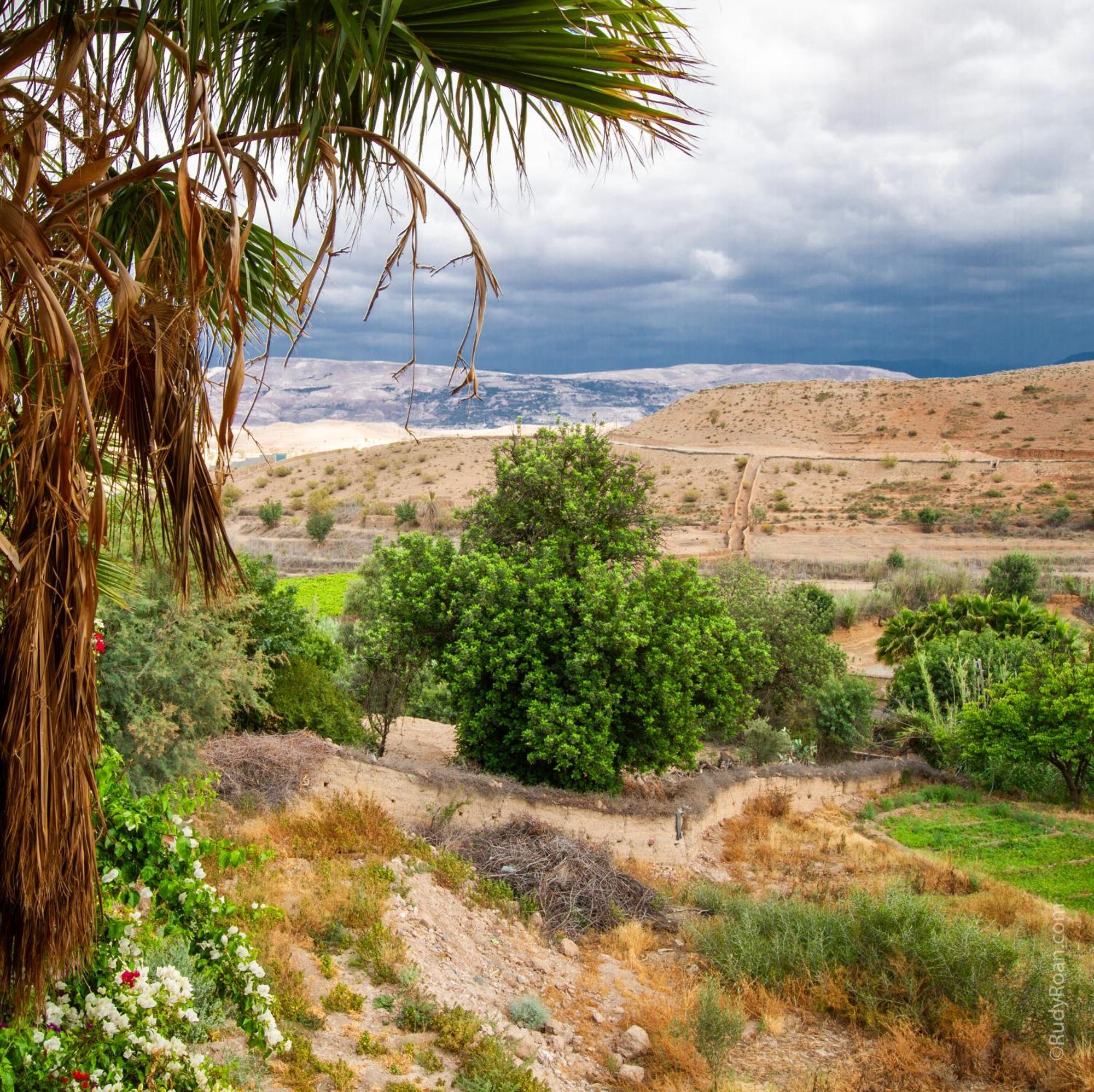 Les Terrasses Du Lac Marrakech Lalla Takerkoust Eksteriør billede